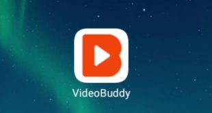 Videobuddy Menghasilkan Uang APK