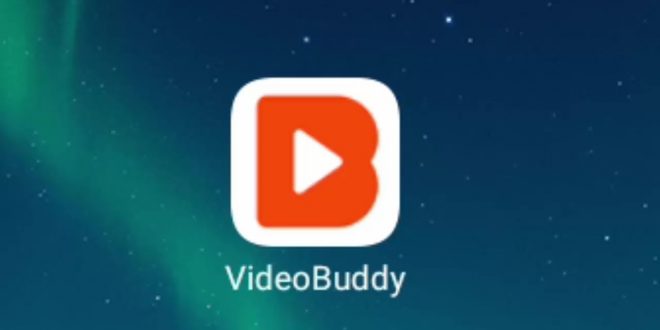 Videobuddy Menghasilkan Uang APK