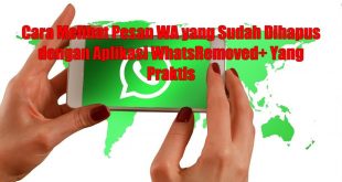 Cara Melihat Pesan WA yang Sudah Dihapus dengan Aplikasi WhatsRemoved+