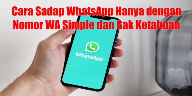 Cara Sadap WhatsApp Hanya Dengan Nomor WA Simple Dan Gak Ketahuan