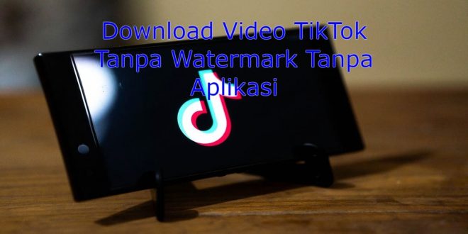 Download Video TikTok Tanpa Watermark Tanpa Aplikasi