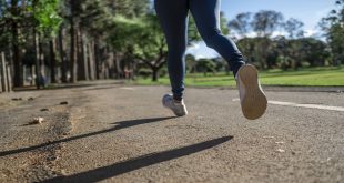 Sikap badan ketika akan melakukan langkah ke depan adalah