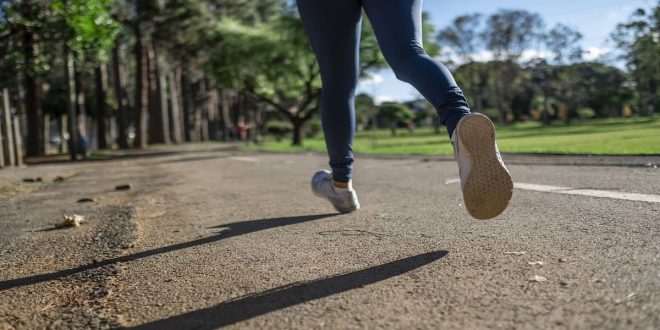 Sikap badan ketika akan melakukan langkah ke depan adalah