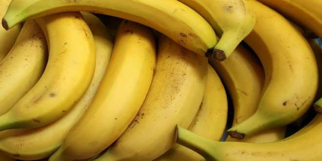 Lagu ampar ampar pisang berasal dari