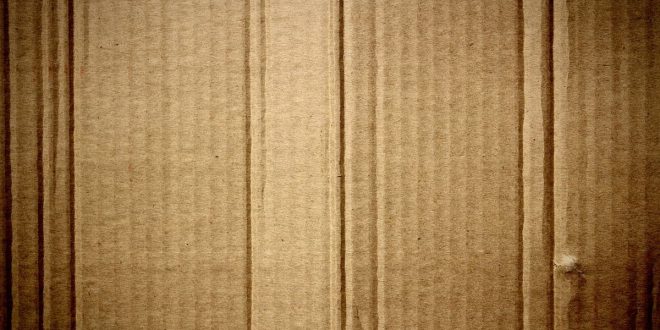 Cara Membuat Kerajinan Tangan dari Barang Bekas Kardus