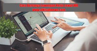 Cara Bertanya Lowongan Kerja Lewat WA