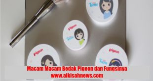 Macam Macam Bedak Pigeon dan Fungsinya