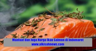 Manfaat dan Juga Harga Ikan Salmon di Indomaret